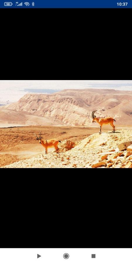 אלת המדברgoddess Of The Desert Be'er Ora Esterno foto